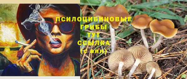 гидропоника Нягань
