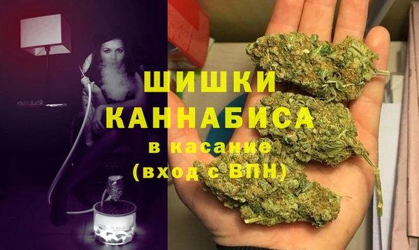 амф Новозыбков