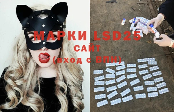 амф Новозыбков
