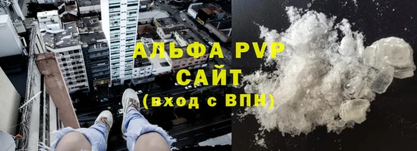 амф Новозыбков