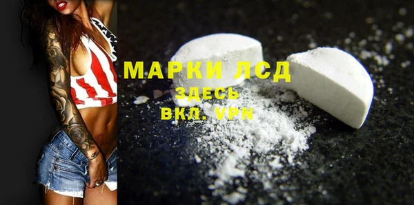 амф Новозыбков