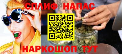 индика Гусь-Хрустальный