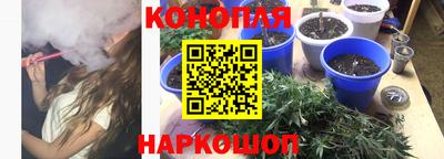 индика Гусь-Хрустальный