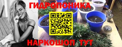 индика Гусь-Хрустальный