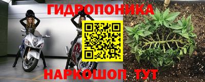 индика Гусь-Хрустальный