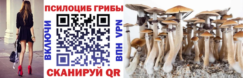 Псилоцибиновые грибы прущие грибы  KRAKEN   Комсомольск-на-Амуре 