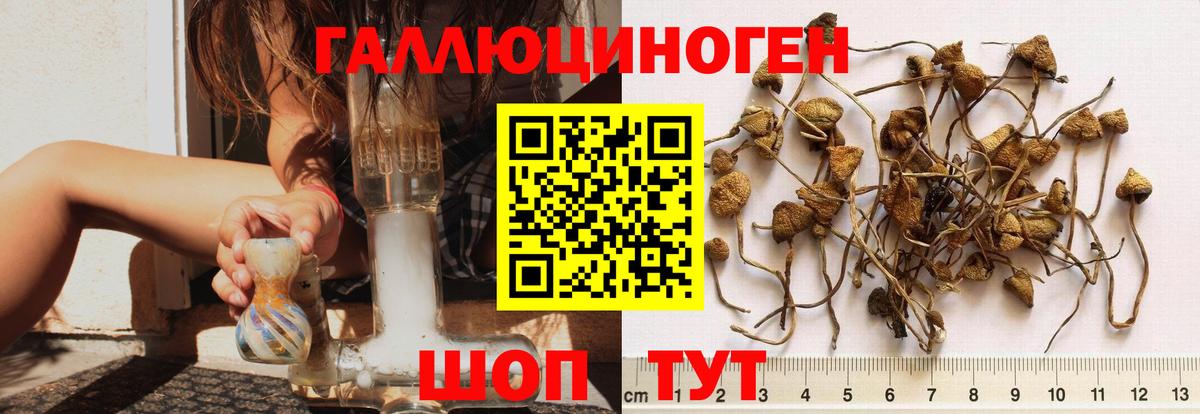 Галлюциногенные грибы Cubensis  Вход с VPN  Комсомольск-на-Амуре 